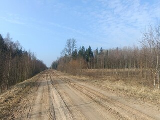 Road in forest in Siauliai county during cloudy early spring day. Oak and birch tree woodland. cloudy day with white clouds in blue sky. Bushes are growing in woods. Sandy road. Nature. Miskas.	