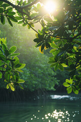 Early morning light filtering through the dense green leaves of a mangrove forest, highlighting the serene and vital role of nature in carbon dioxide absorption