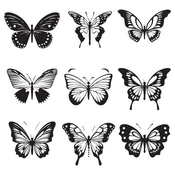 Butterflies set isolated on a white background. Vector illustration.