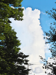 夏の青空と入道雲