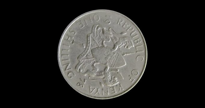 Reverse of Kenya coin 1 shilling 1978, isolated in black background. Seamless animation in 4k resolution video.