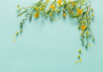 wild spring flowers on paper background