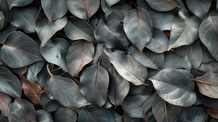 A close up of leaves with a brownish hue, Bodhi leaf