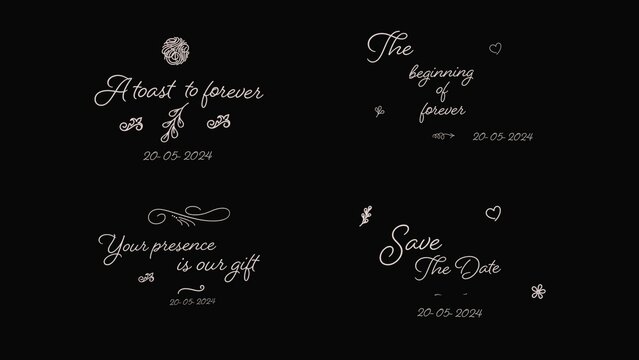 Wedding Happily Ever After Titles Overlays