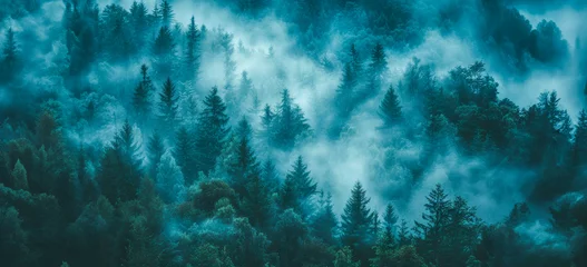 Gordijnen Dark fog and mist over a moody forest landscape © Volodymyr