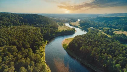 Fotobehang Beautiful river flowing through the endless forest, drone shot, nature, environment © dmnkandsk