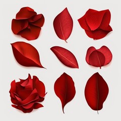 Red rose flower petal collection isolated on a flat background flower petals top view tulip color 
silky leaf shaped withered
 Generative AI 