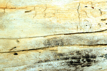 Old and weathered wood texture. for backgrounds and wallpapers
