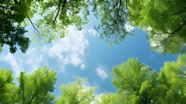 Clear blue sky and green trees seen from below. Carbon neutrality concept presented in a vertical format. Pictures for Earth Day or World Environment Day desktop backgrounds