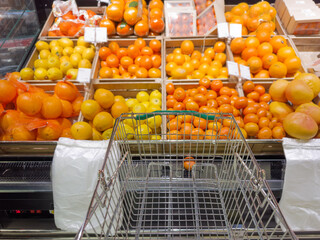 buying fruits(lemon, orange, tangerine, citrus, grapefruite)  at the market