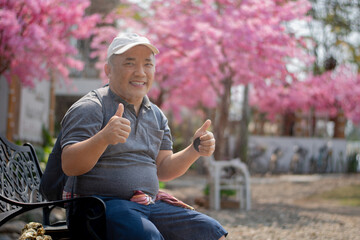 Asian middle-aged man in white cap and has backpack standing and thumping up in front of sakura...