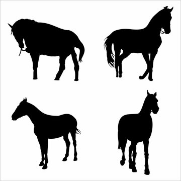 Collection of silhouettes of a horse
