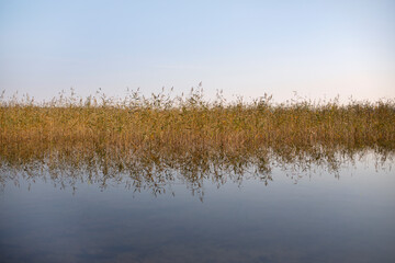blue water, blue sky, yellowed grass on the lake, early autumn sunset on the lake, reeds on the...