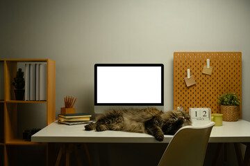 Lovely cat lying down on table near blank computer monitor and stationery