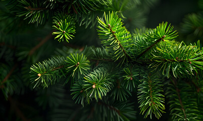 bright green pine in dark, Generative AI 