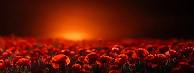 Foto op Plexiglas Dramatic Poppy flowers field. Anzac day banner. Remember for Anzac, Historic war memory. Anzac background. Poppy field, Remembrance day. © JovialFox