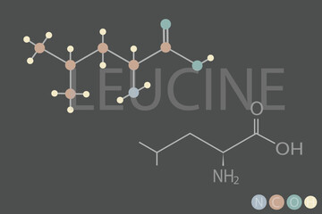  leucine molecular skeletal chemical formula