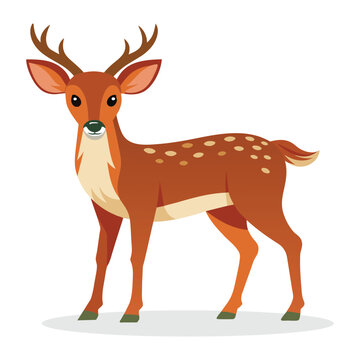 Deer Animal isolated flat vector illustration