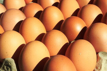 Chicken eggs neatly arranged on egg box.  with sunlight in the morning. as background and wallpaper