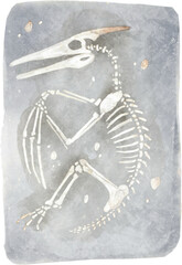 Pteranodon fossil in rock . Watercolor painting style . © stockdevil