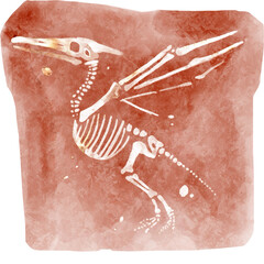Pteranodon fossil in rock . Watercolor painting style . © stockdevil