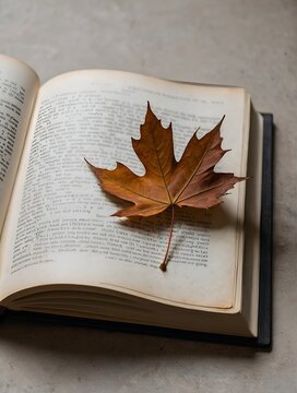 Maple leaf on open book