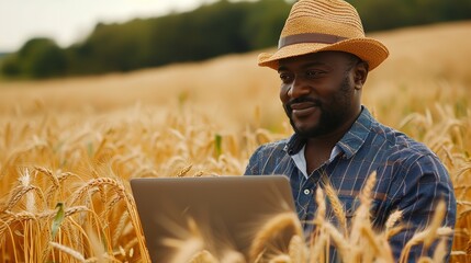 Afro-Caribbean agricultural laborer on a field with barley crops, using laptop. Generative Ai - obrazy, fototapety, plakaty