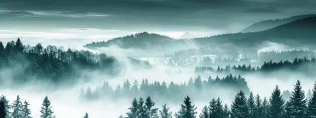 Fotobehang Amazing mystical rising fog mountains sky forest trees landscape view in black forest ( Schwarzwald ) winter, Germany panorama panoramic banner - mystical snow foggy mood © JovialFox