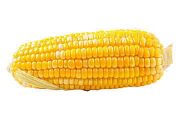 Ear of Corn on White Background