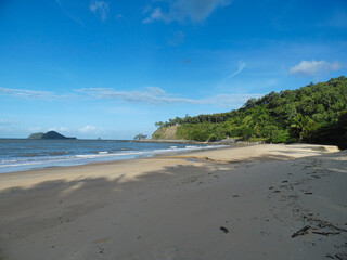 palm beach cairns australia with palm trees by the ocean with waves