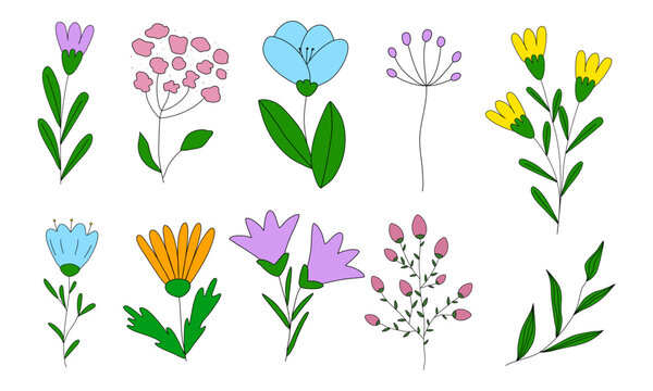Set of different flowers and branches, doodle style vector