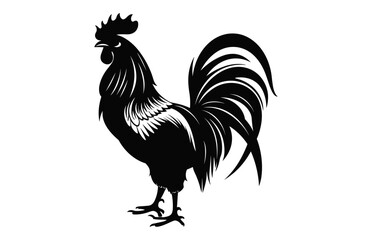 Rooster black Silhouette vector, Cock Rooster Clipart isolated on a white background