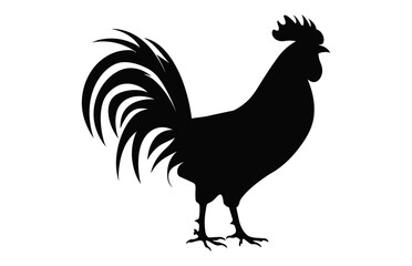Fototapeta na wymiar Rooster black Silhouette vector, Cock Rooster Clipart isolated on a white background