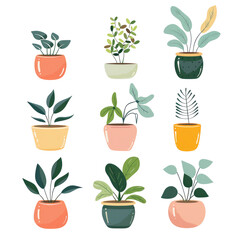 Modern Potted Indoor Plant Illustrations
