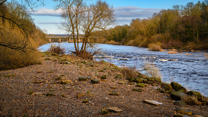 Riverside View of River Tyne at Wylam, located in Northumberland on the tree-lined riverbanks of...