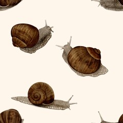 Watercolor pattern with snails on beige background 