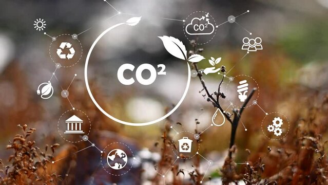 Reduce CO2 emission concept, environmental echnology, global warming, green plants, Sustainable development and green business based on renewable energy. 4K video
