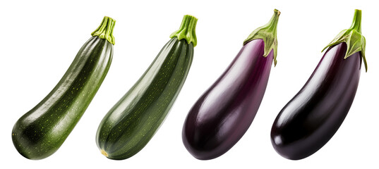 Fresh Organic Zucchini and Eggplant Produce