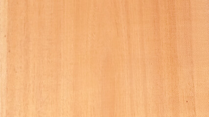 Naklejka premium Wood texture background, wood planks. Grunge wood, painted wooden wall pattern. Vector illustration. Place for your text. Sample text.