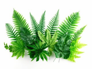 A composition of lush green leaves and tropical ferns isolated on a white background, conveying freshness and natural beauty.