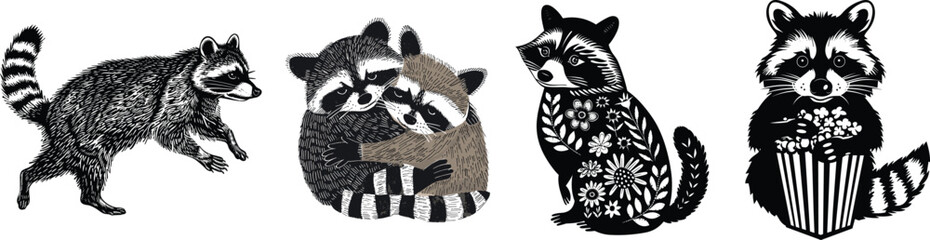 Set of raccoon, vector illustration.