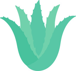 Aloe vera plant flat icon