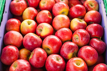 Close-up view of apples in a public market in Zurich, Switzerland