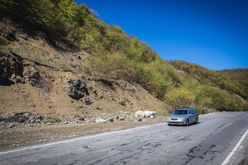 Car on a famous Georgian Military Highway, major route through the Caucasus near Ananuri village,...