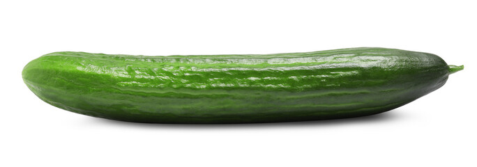 One long fresh cucumber isolated on white