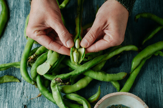man takes some broad beans out of its pod