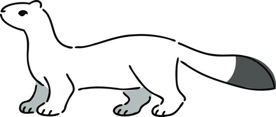 手描きのオコジョのイラスト