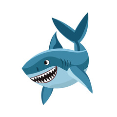 shark character on white background, vector