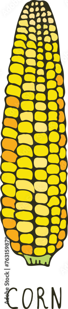 Sticker Corn ear doodle. Farm crop. Natural grain