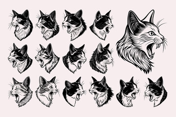 Cute side view meowing turkish van cat head illustration design set
